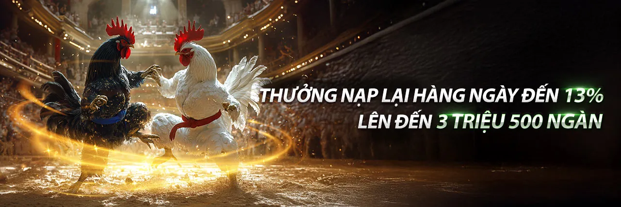 Chương trình VIP ev88vn code với các cấp độ và phần thưởng độc quyền